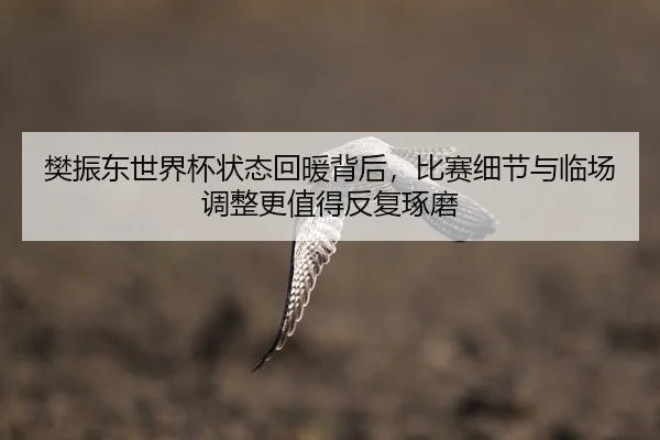 fan-zhen-dong-shi-jie-bei-zhuang-tai-hui-nuan-bei-hou-bi-sai-xi-jie-yu-lin-chang-tiao-zheng-geng-zhi-de-fan-fu-zhuo-mo-2-833.jpg