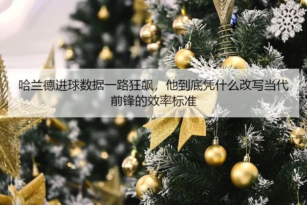 哈兰德进球数据一路狂飙,他到底凭什么改写当代前锋的效率标准